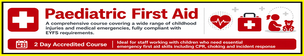 Paediatric First Aider Course